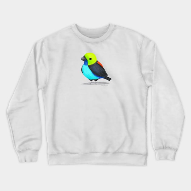 Paradise Tanager Bird Crewneck Sweatshirt by julianamotzko